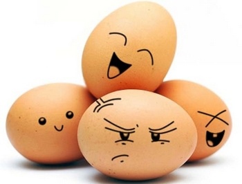 egg.jpg egg.jpg