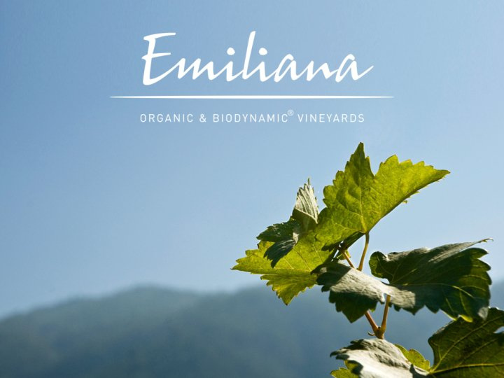 Emiliana ads 1.bmp