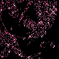 2009+12+08pm20-05-20.gif