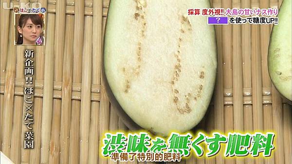 矛盾大對決太陽爐vs燃氣優子茄vs厭茄男車審員vs塗裝工匠大島優子ほこ たて Stpapple 痞客邦 矛盾大對決太陽爐vs燃氣優子茄vs厭茄男車審員vs塗裝工匠大島優子ほこ たて Stpapple 痞客邦