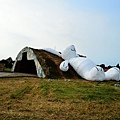 DSC_9201.jpg