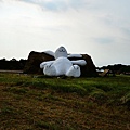 DSC_9203.jpg