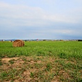 DSC_9210.jpg
