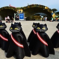 DSC_9179.jpg
