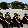 DSC_9181.jpg
