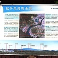 14cbbd4f0cb649.jpg