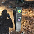 14d6dd4176a8a8.jpg