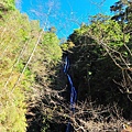 14d6dd4389bcd4.jpg