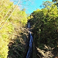 14d6dd4439b529.jpg