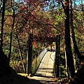 14d6dd4621cf5e.jpg