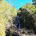 14d6dd43576a93.jpg