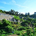 153c65f85e5774.jpg