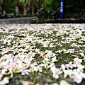 14f94fc9c58a96.jpg