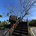 150cee17a0262d.jpg