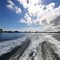14ff427c9497d9.jpg