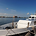 14ff427379216b.jpg