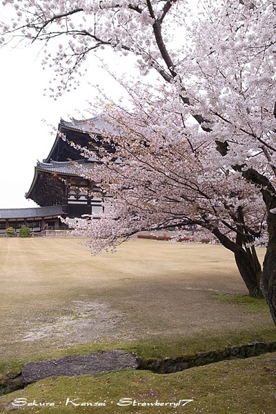 R0015517