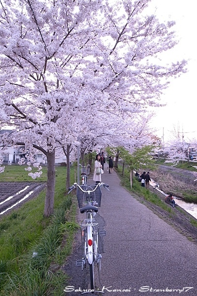 R0015619