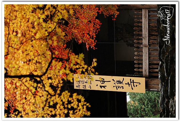 20071122神護寺