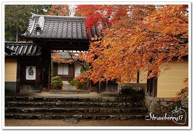 20071122神護寺