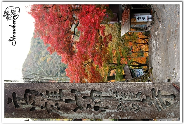 20071122神護寺
