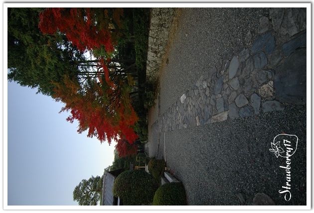 20071124 天龍寺散策