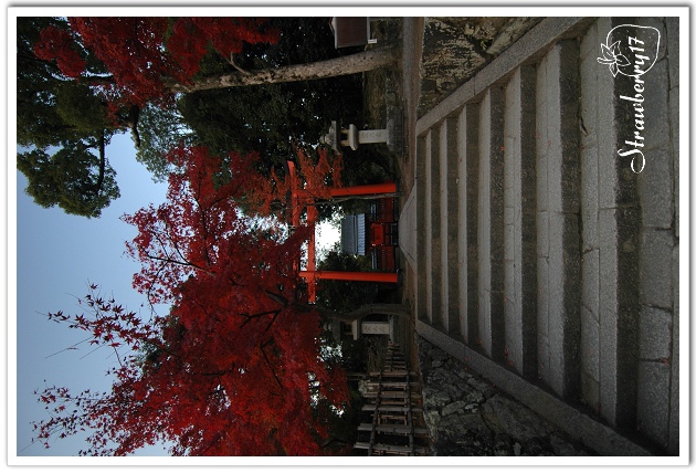 20071124 天龍寺散策