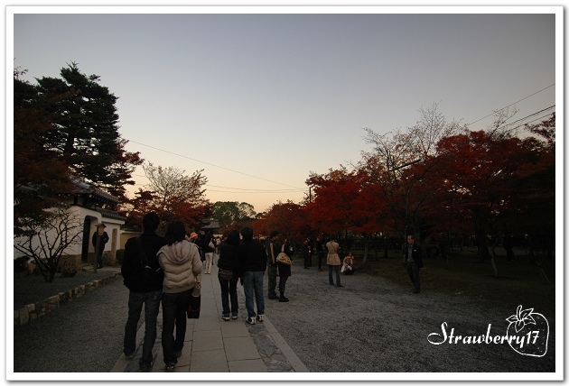 20071124 天龍寺散策
