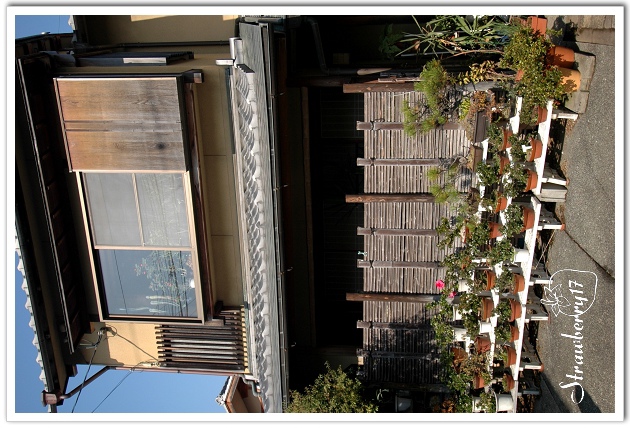20071124 嵐山中餐