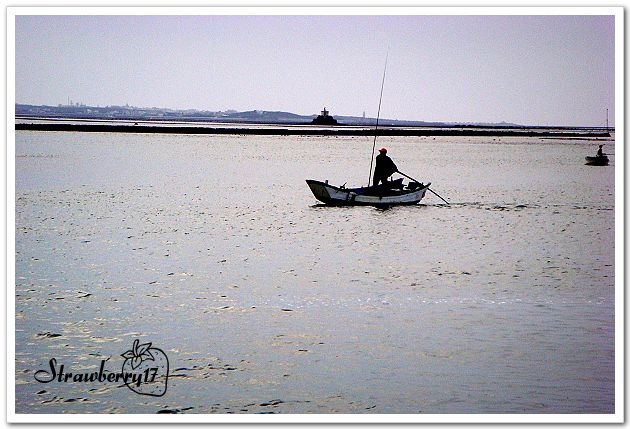 DSC00508