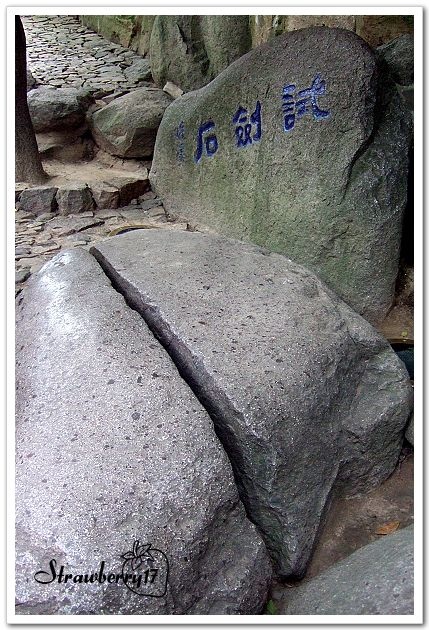 DSCF8832