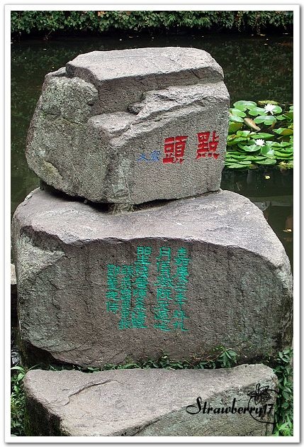 DSCF8868