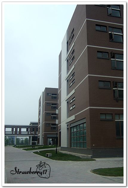 DSCF8620