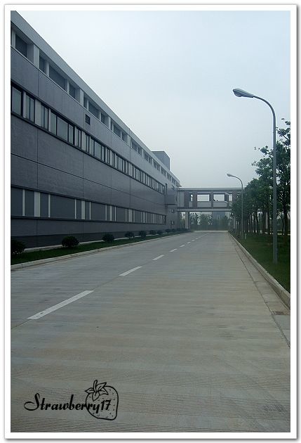 DSCF8618