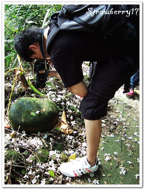 DSCF7873
