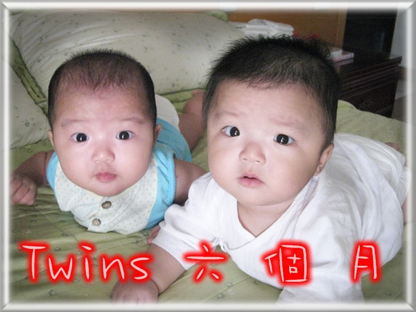 Twins6個月.jpg Twins6個月.jpg