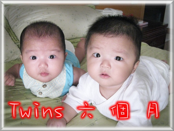 Twins6個月.jpg