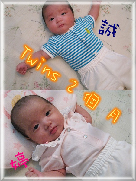 Twins2個月.jpg Twins2個月.jpg