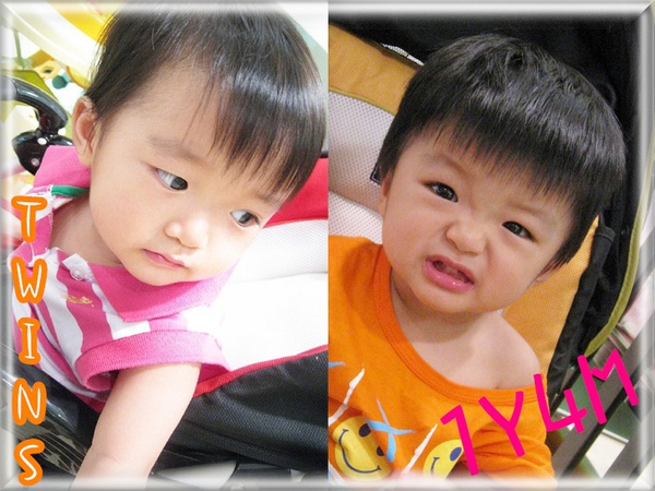 Twins1Y4M.jpg Twins1Y4M.jpg