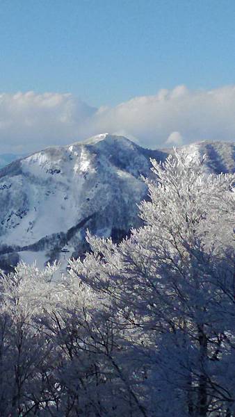 P_20170225_153350.jpg P_20170225_153350.jpg