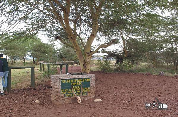 非洲大冒險-Lake Manyara23