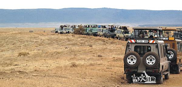 非洲大冒險-Ngorongoro51