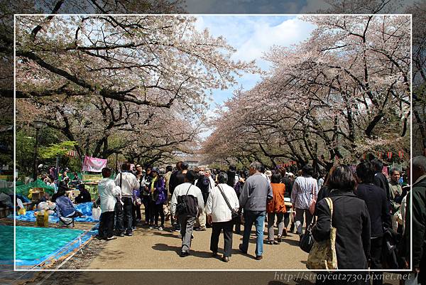 上野公園P08