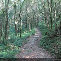 P30-東滿步道