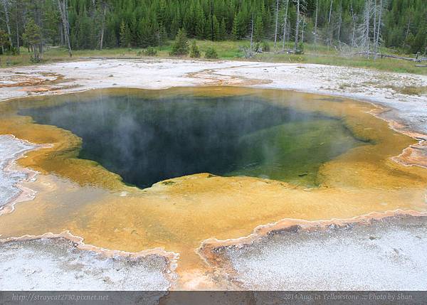 Yellowstone黃石公園-Emerald Pool 綠寶石溫泉