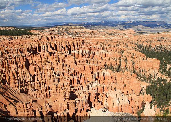 布萊斯峽谷國家公園 Bryce Canyon National Park