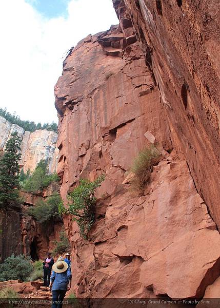 Grand Canyon North Rim 北大峽谷-騎騾之旅 Mule Rides