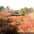東福寺27-日本京都賞楓，通天橋上的楓紅美景