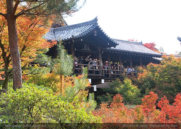 東福寺36-日本京都賞楓，遠看通天橋