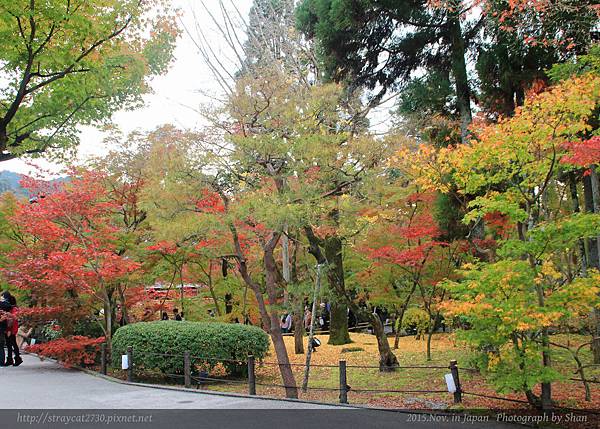 永觀堂楓紅06.jpg